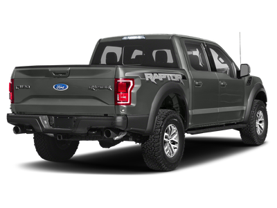 2019 Ford F-150 Raptor Equipment Group 802A Luxury