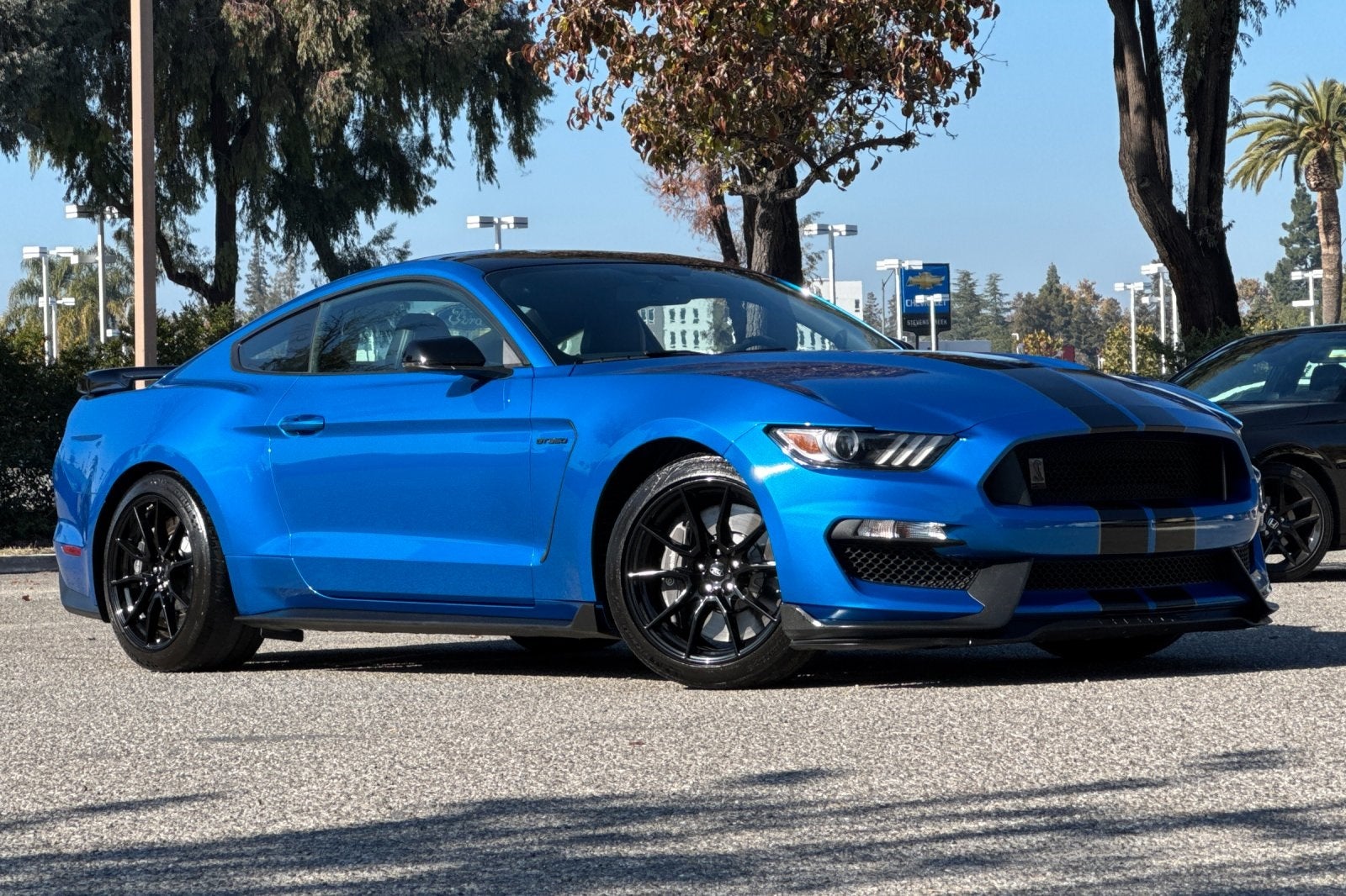 2020 Ford Mustang Shelby GT350 GT350 Equipment Group 900A