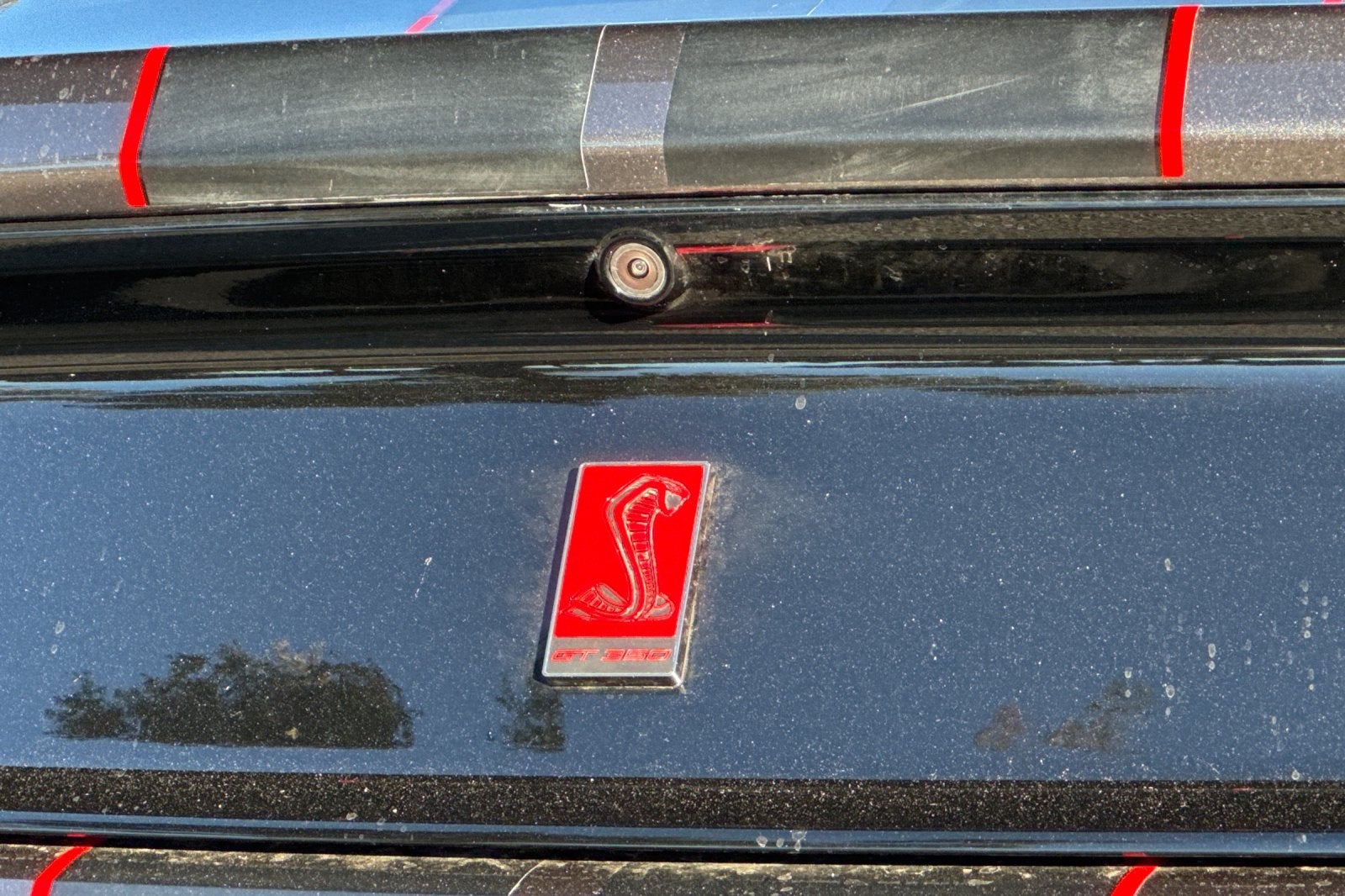 2016 Ford Mustang Shelby GT350R GT350R Equipment Group 920A