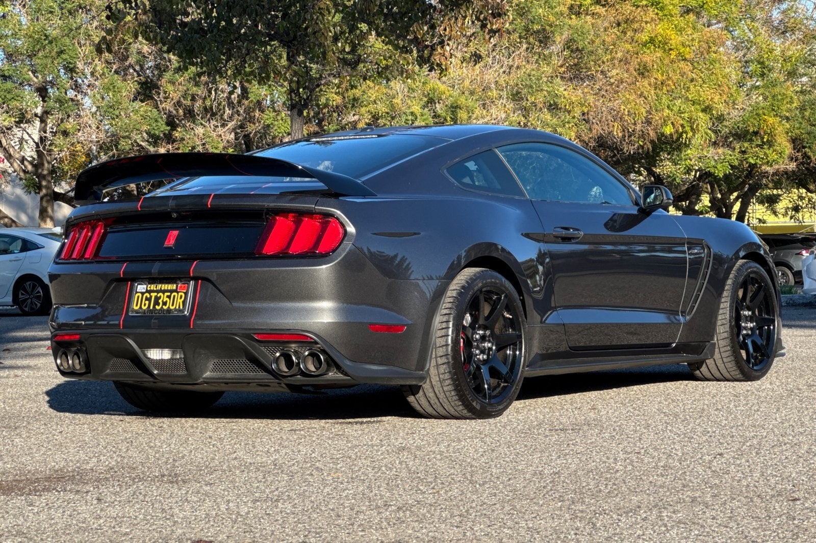 2016 Ford Mustang Shelby GT350R GT350R Equipment Group 920A