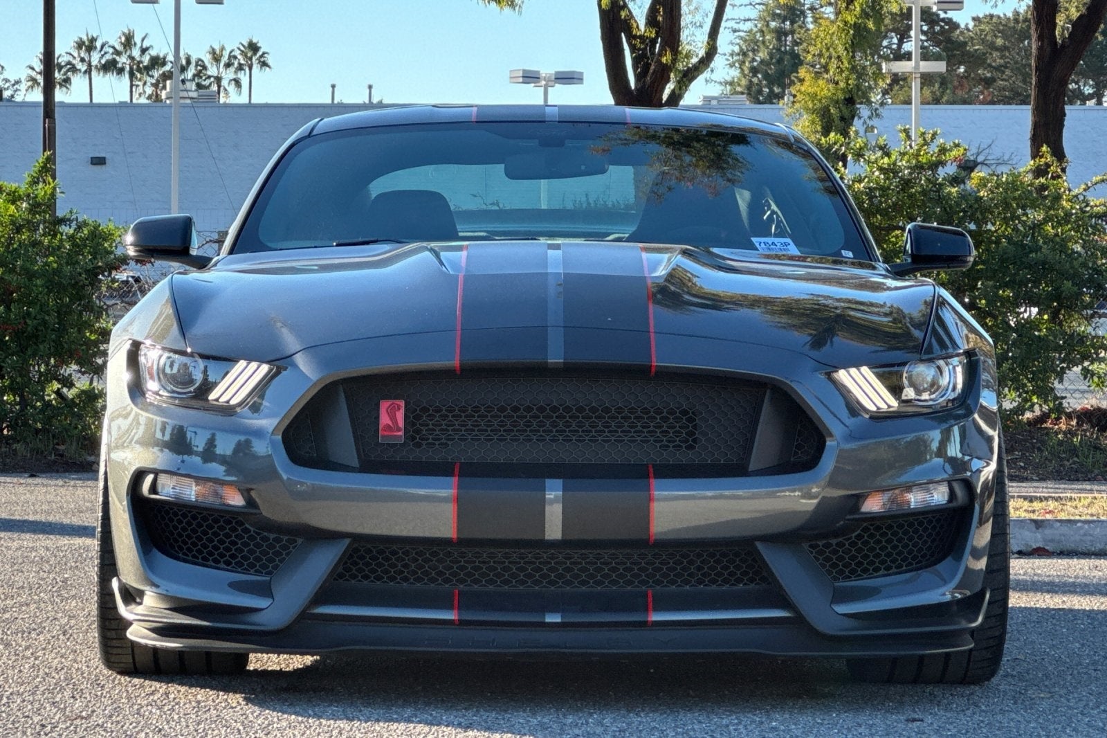 2016 Ford Mustang Shelby GT350R GT350R Equipment Group 920A