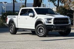 2019 Ford F-150 Raptor Equipment Group 802A Luxury