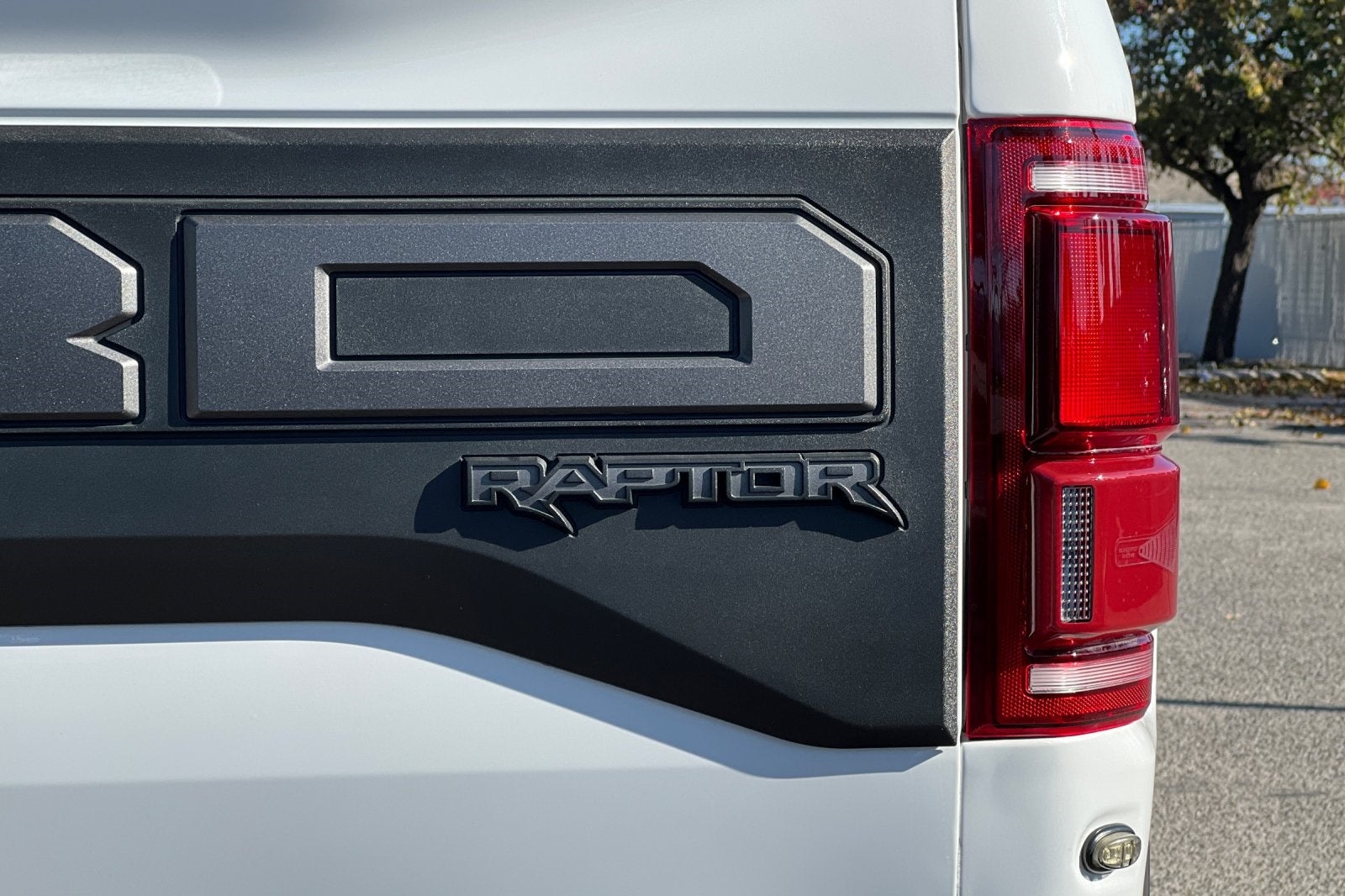 2019 Ford F-150 Raptor Equipment Group 802A Luxury