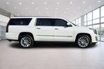 2019 Cadillac Escalade ESV Platinum Edition
